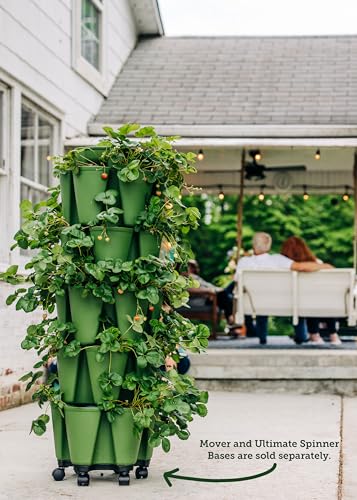 Greenstalk Patented Large 5 Tier Vertical Garden Planter with Patented Internal Watering System Great for Growing a Variety of Strawberries