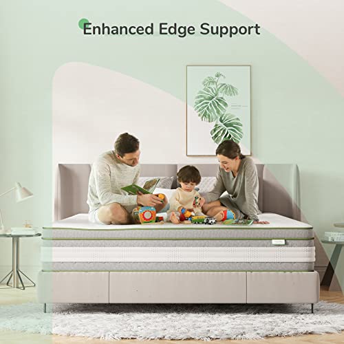Novilla King Size Mattress 14 Inch, Hybrid Mattress King for Motion Isolation, Gel Memory Foam with Pressure Relief for Cool Night Sleep