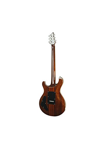 IYV 6 String Acoustic-Electric Guitar, Right, Tobacco Sunburst (IP-300-TSB)