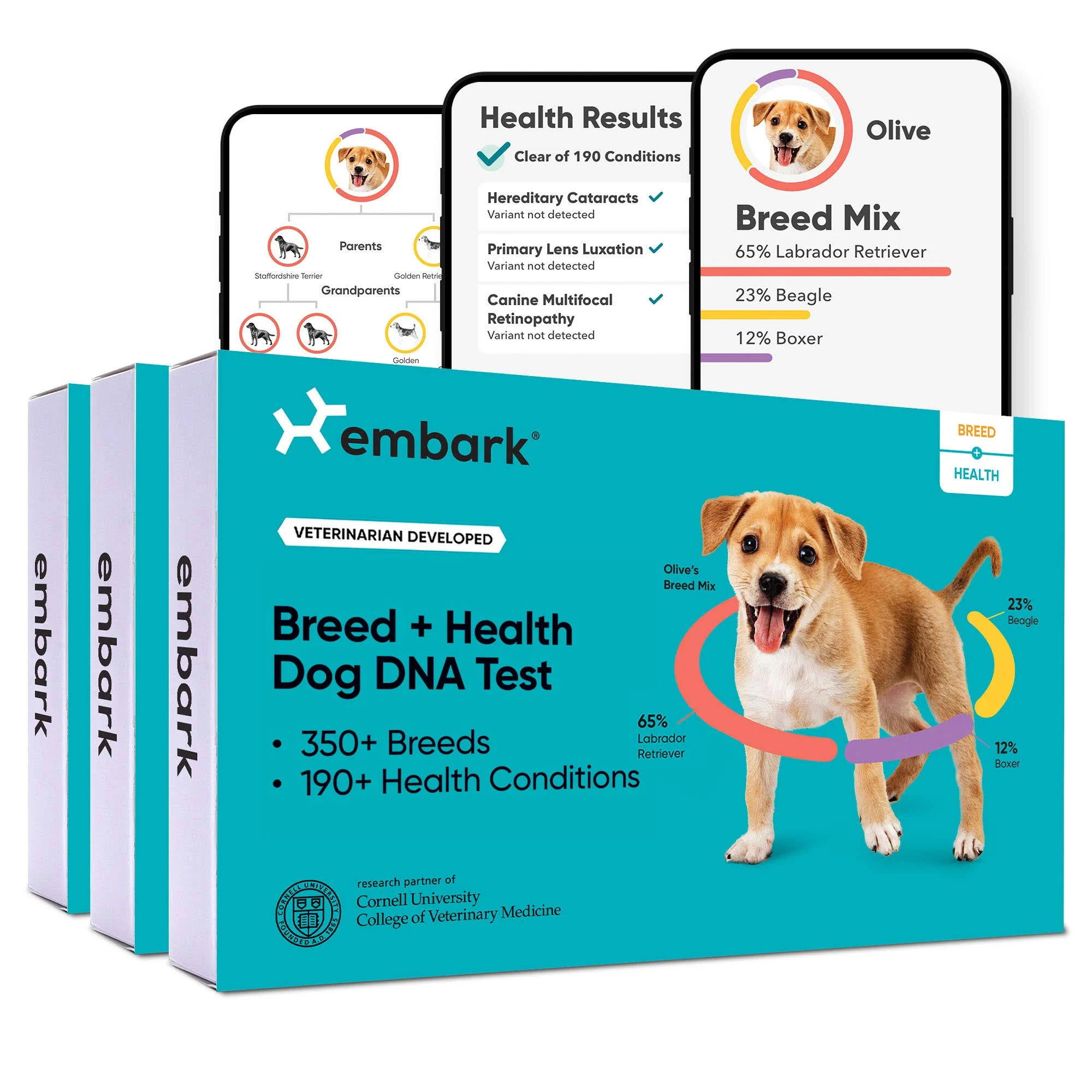 Embark | Dog DNA Test | Breed Identification | 160 Health Results | 200K Genetic Markers | Pack of 3