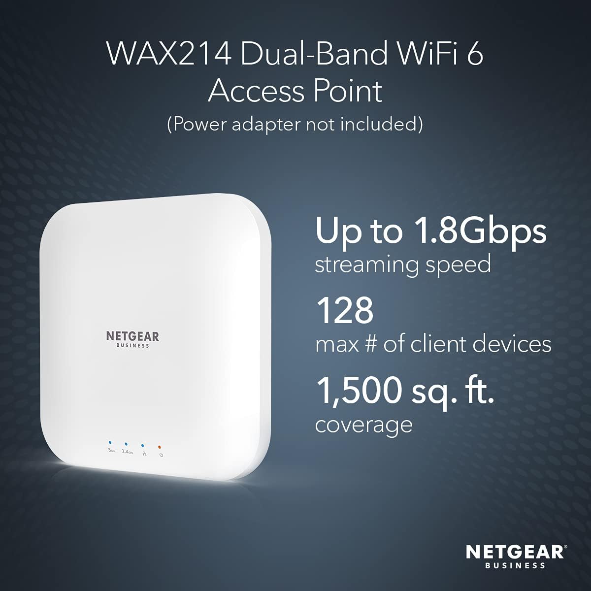 NETGEAR Wireless Access Point (WAX214)