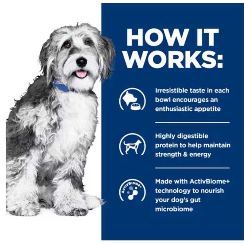 Hill's Prescription Diet ONC Care Wet Dog Food - Pet Supplies online store