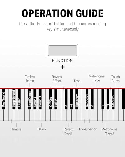 Donner DDP-300 Digital Piano with 88 Graded Hammer Action Weighted Keys, Record, Bluetooth, 10 Voices, 4 Reverb, Speakers
