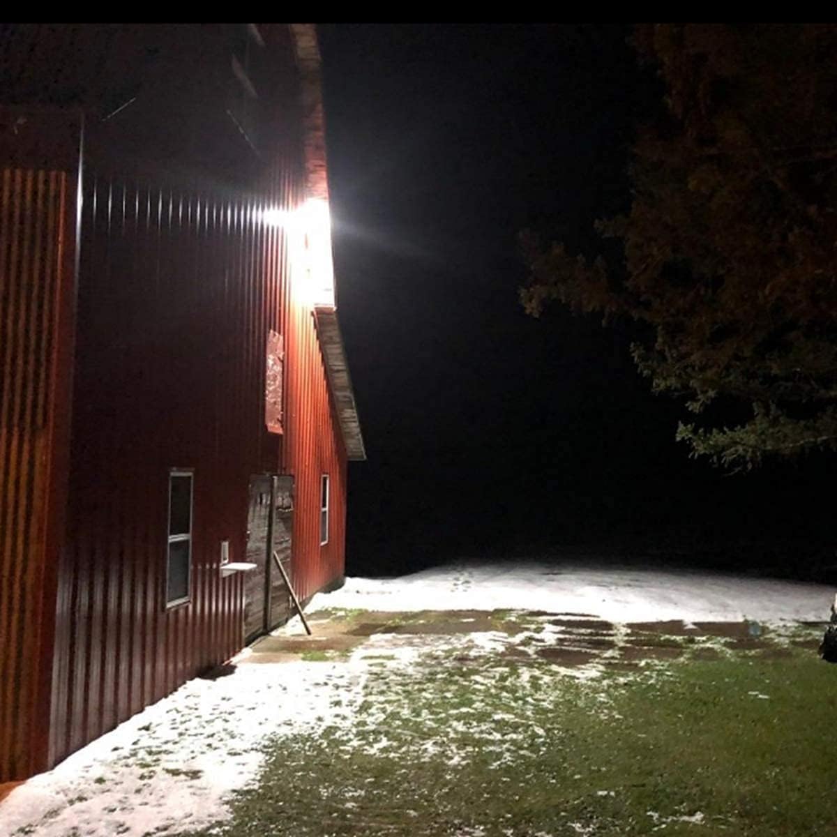 TERRASON LED Security Area Light 43 Watts - Barn Light Dusk to Dawn with Photocell - Ultra Bright Yard Light 5500 Lumens, 5000K