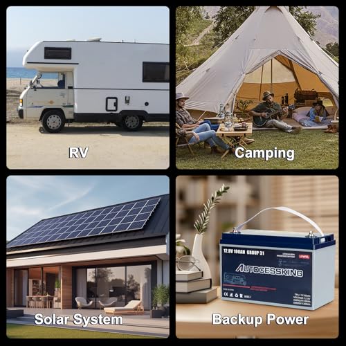 12V 100Ah BCI Group 24 LiFePO4 Battery, 100A BMS Rechargeable Mini Lithium Battery with Low-Temp Protection, Up to 15000 Cycles Perfect for RV