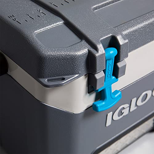 Igloo BMX Hard Coolers (25-72QT)