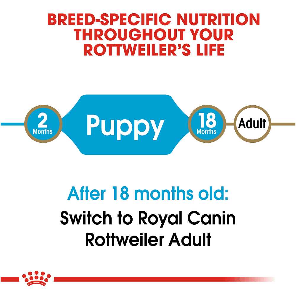 Royal Canin Breed Health Nutrition Rottweiler Puppy Dry Dog Food - Pet Supplies online store