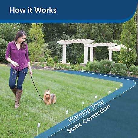 PetSafe Stubborn Dog Receiver Collar RF-275-11 - Pet Supplies online store