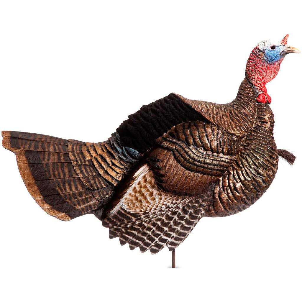 Dave Smith Decoys Posturing Jake Turkey Decoy - Sports Supplies Online Store