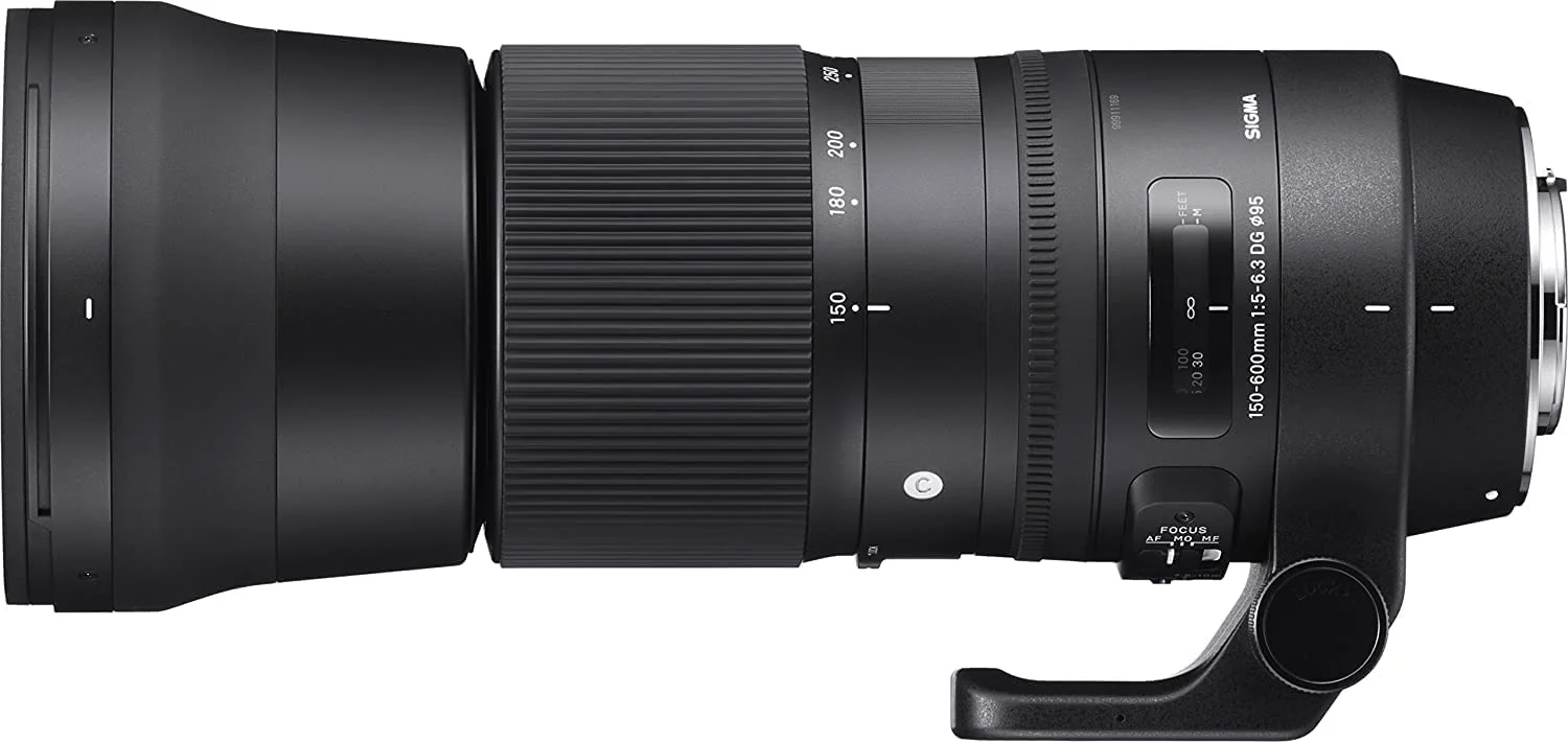 Sigma 150-600mm 5-6.3 Contemporary DG OS HSM Lens for Nikon DSLR Cameras + Complete Accessory and Travel Bundle - Curated Treasures Market