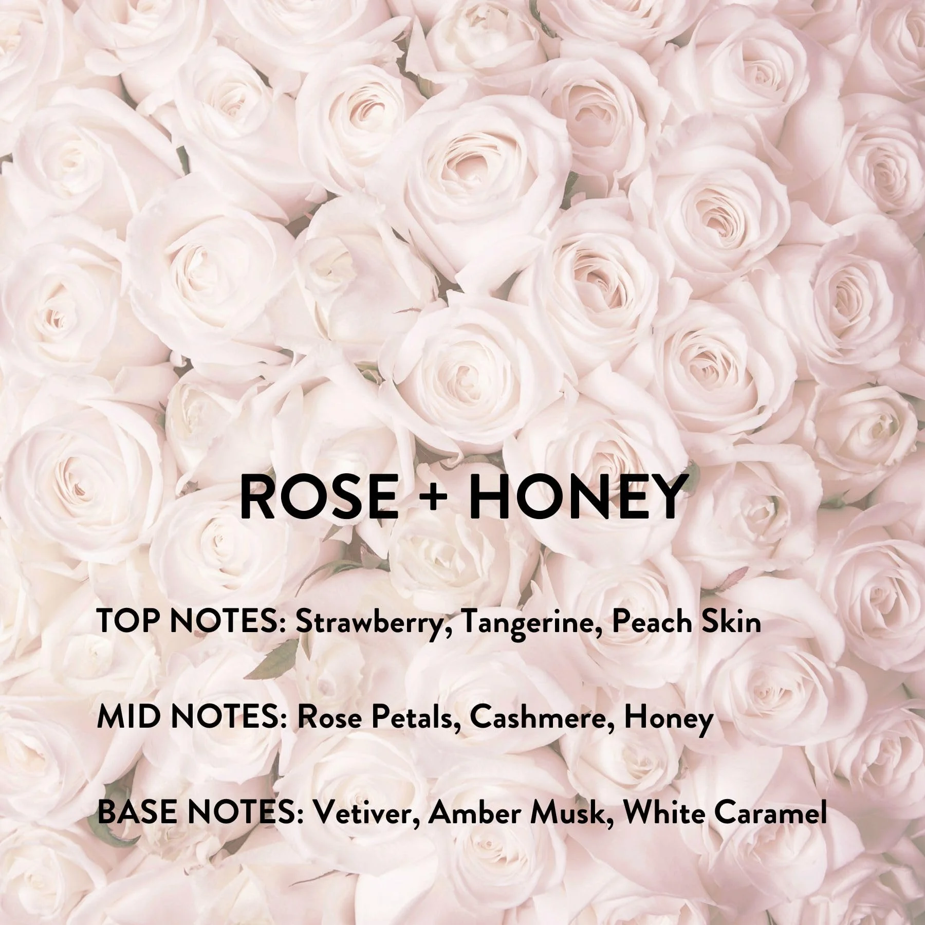 Michael Malul Rose + Honey by Michael Malul Eau De Parfum Spray 3.4 oz for Women