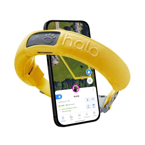 Halo Collar 3, Multifunctional GPS Wireless Dog Fence & Dog Training Collar with GPS Tracker, Subscription Required, Waterproof, Graphite (Small)