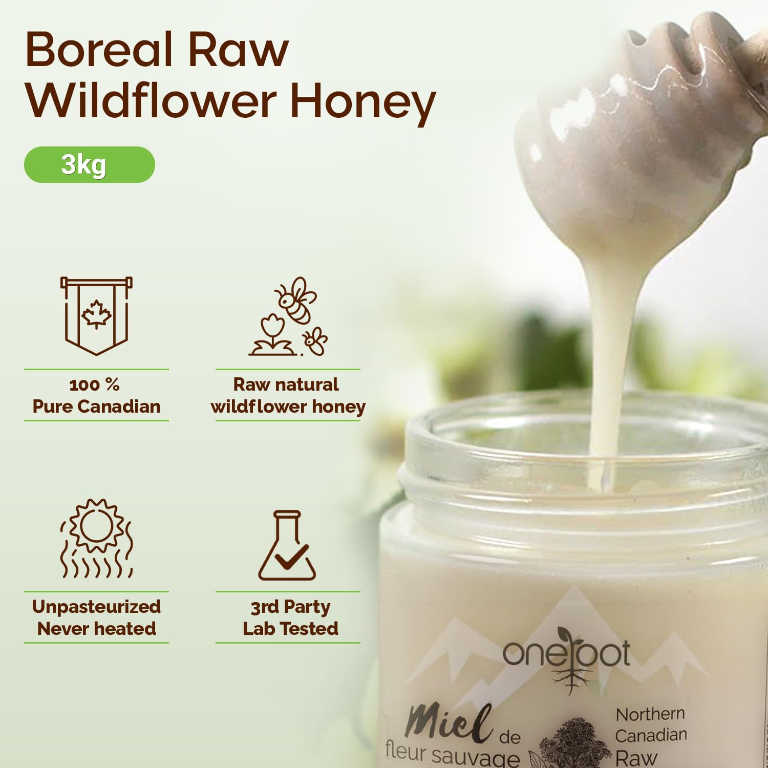 Oneroot 100% Canadian Wildflower Honey - 3kg / 6.6lb, Unfiltered, Unheated & Creamed, Nutrient Rich Raw Wildflower Honey With Enzymes