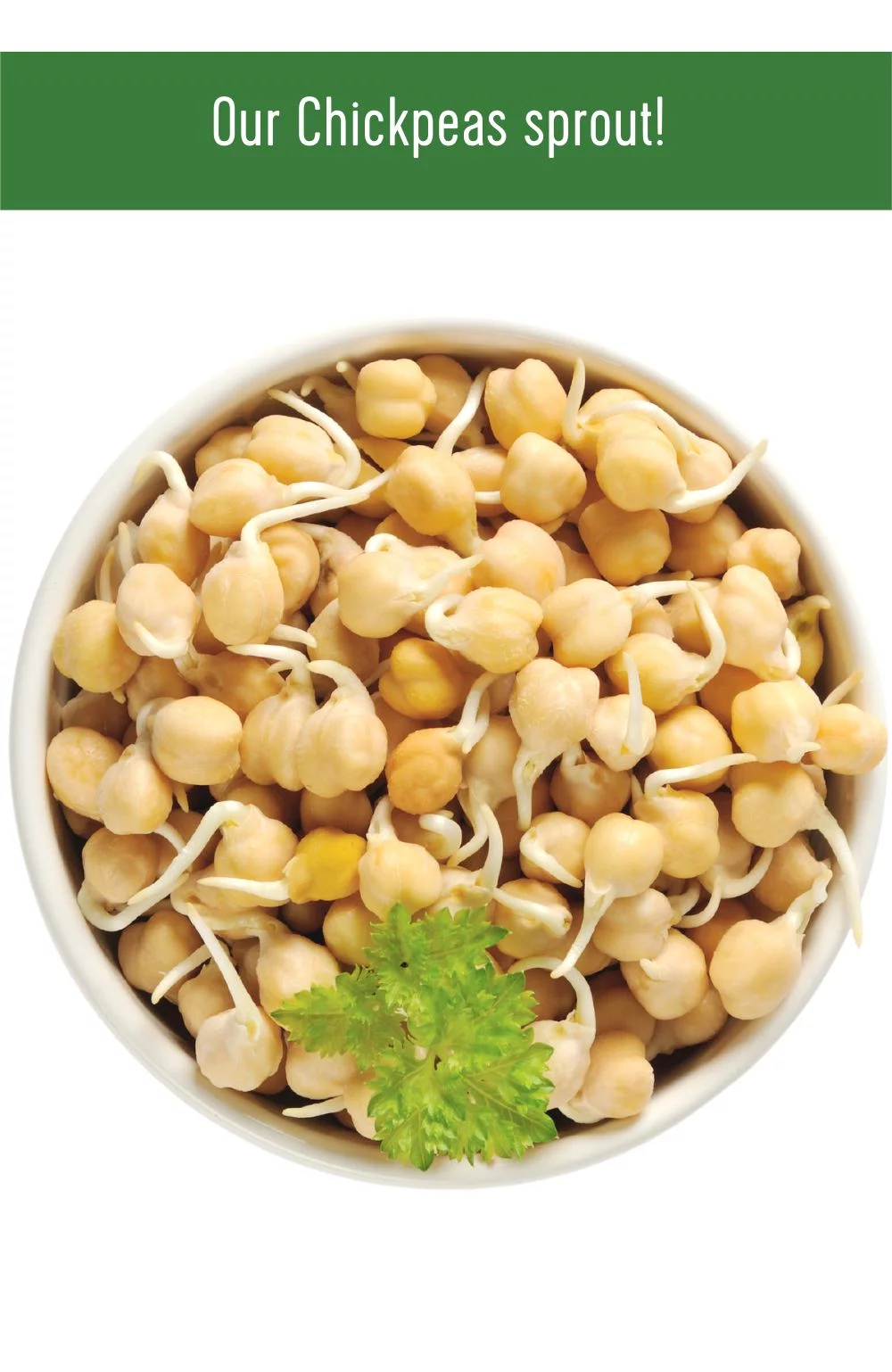 Emergency Legume Bucket Supply | 75 LBS | Chickpeas, Lentils and Green Split Peas [25 lbs each]