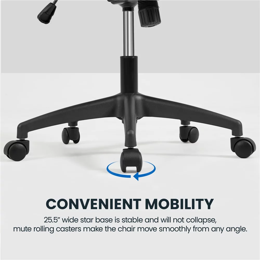 Alden Design Ergonomic Mesh Office Chair with High Back, Black
