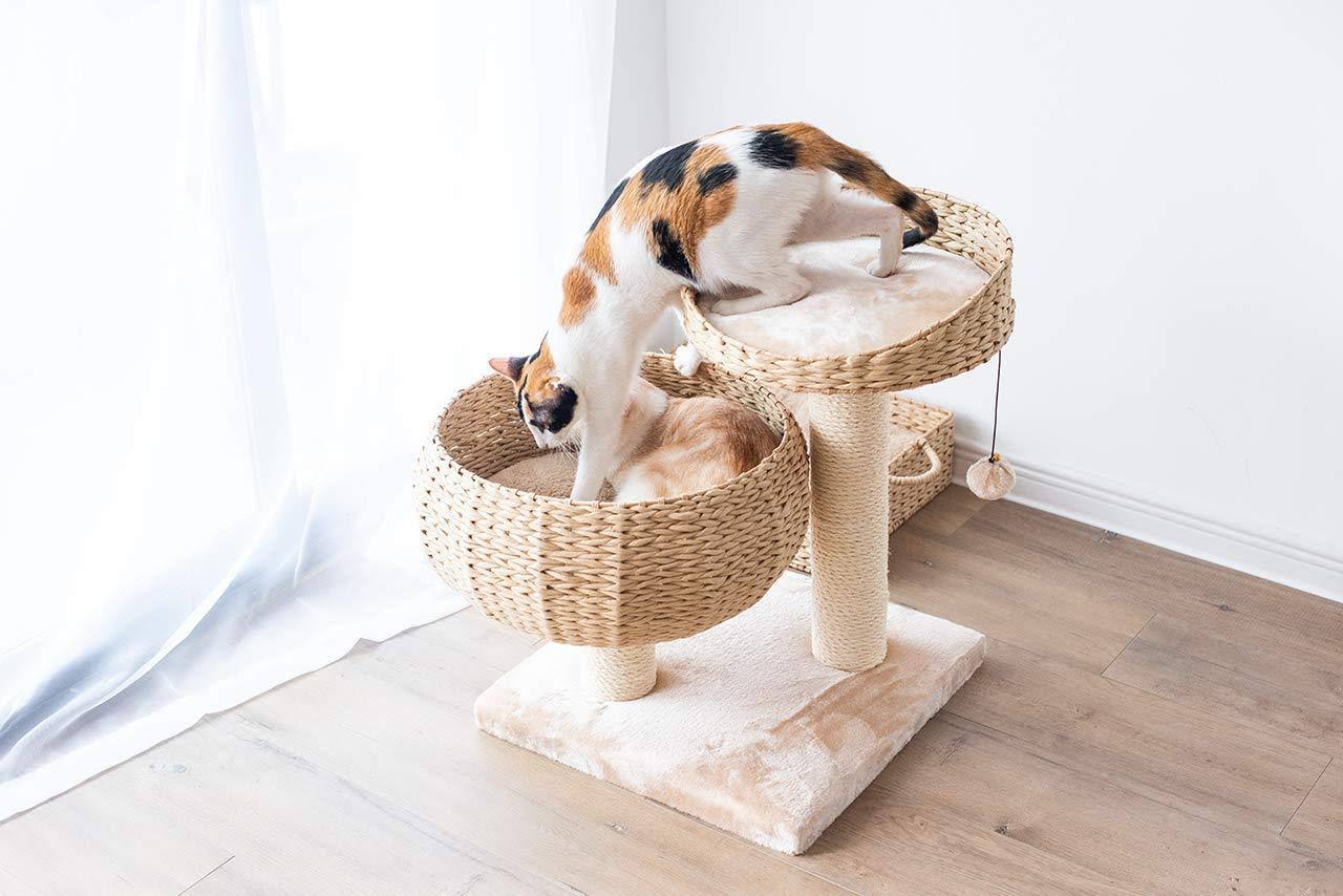 Petpals 23x22 Cat Perch