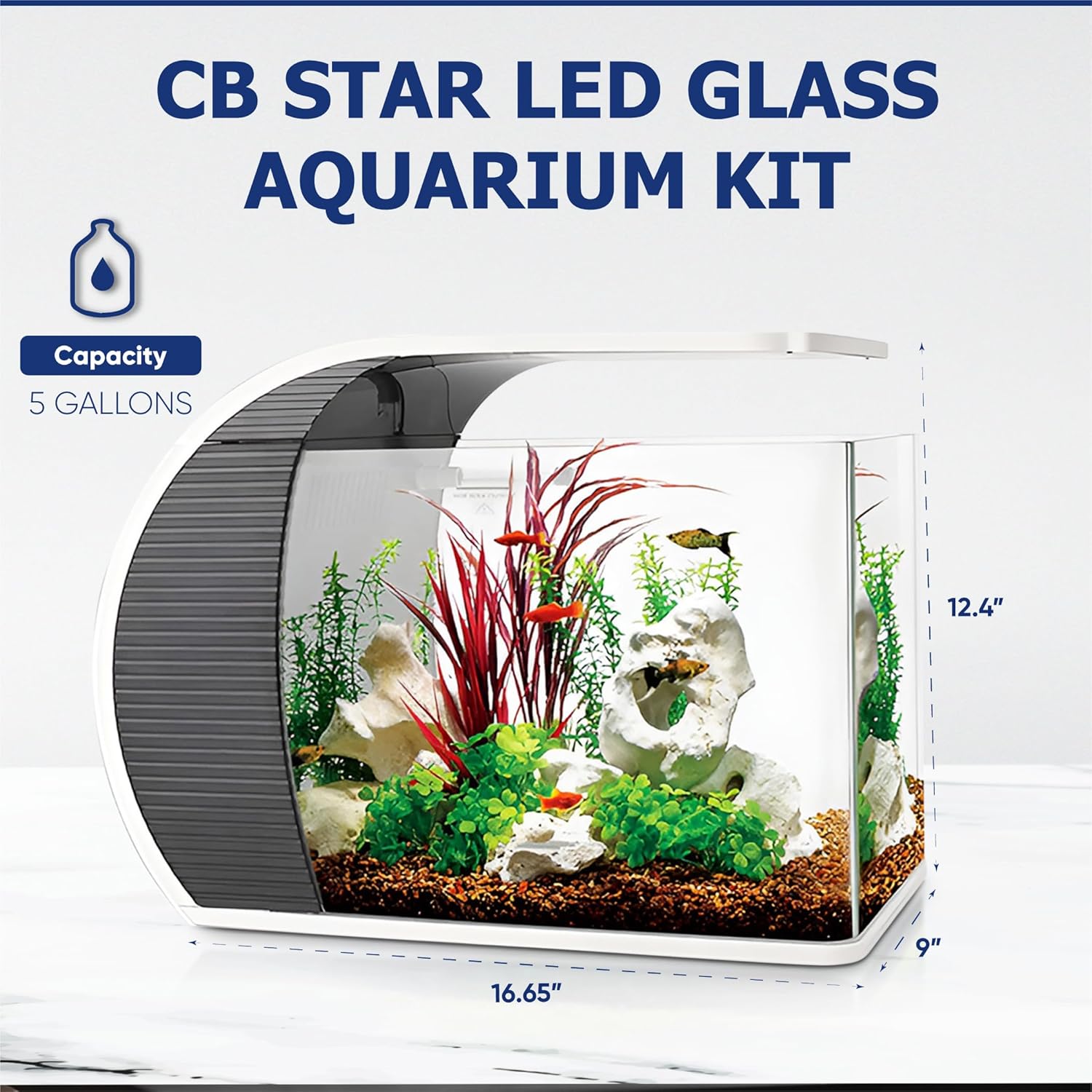 5 Gallon Fish Tanks - Arc-Shaped Glass Fish Tank w/LED Lights - Fish Tank Kit w/Adapter, Water Pump, Bag of Filter Media & More