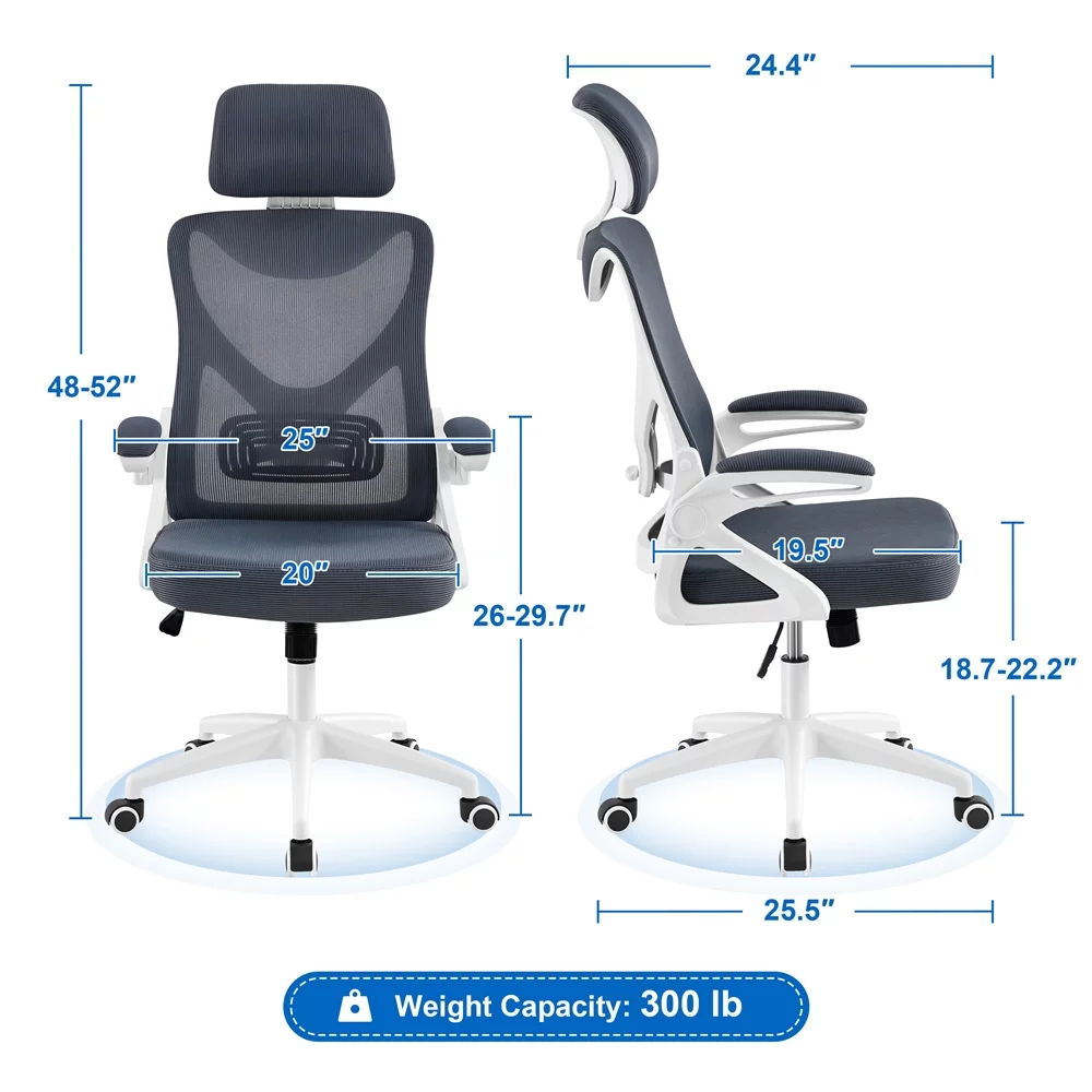 Alden Design Ergonomic Mesh Office Chair with High Back, Black