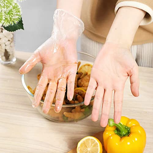 EDI Disposable Vinyl Gloves