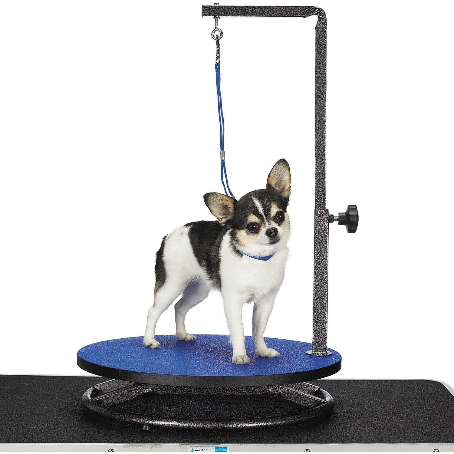 Master Equipment Small Pet Grooming Table - Pet Supplies online store