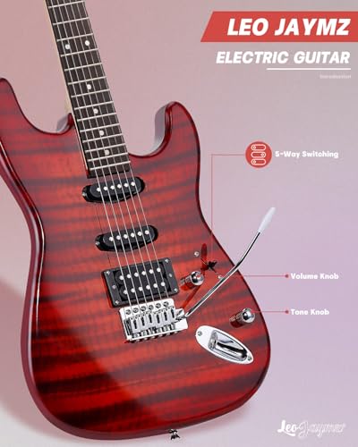 Leo Jaymz 39" Full Size ST Style Electric Guitar Starter Kit with SSH Pickup, 5W Portable Amp, Tuner, Gig Bag, Strap & Accessories (Violet Ocean)