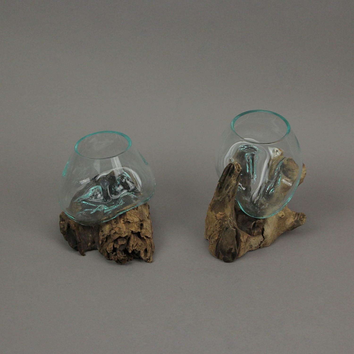 Set of 2 Glass and Teak Driftwood Decorative Bowls, Vases, and Terrarium Planters - Great for Bedrooms, Living Rooms and Offices