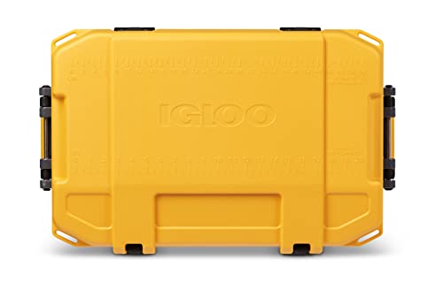 Igloo BMX Hard Coolers (25-72QT)
