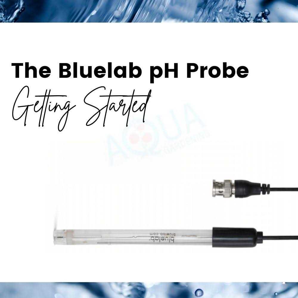 Bluelab Replacement pH Probe - Shop Hardware Tools Online Store