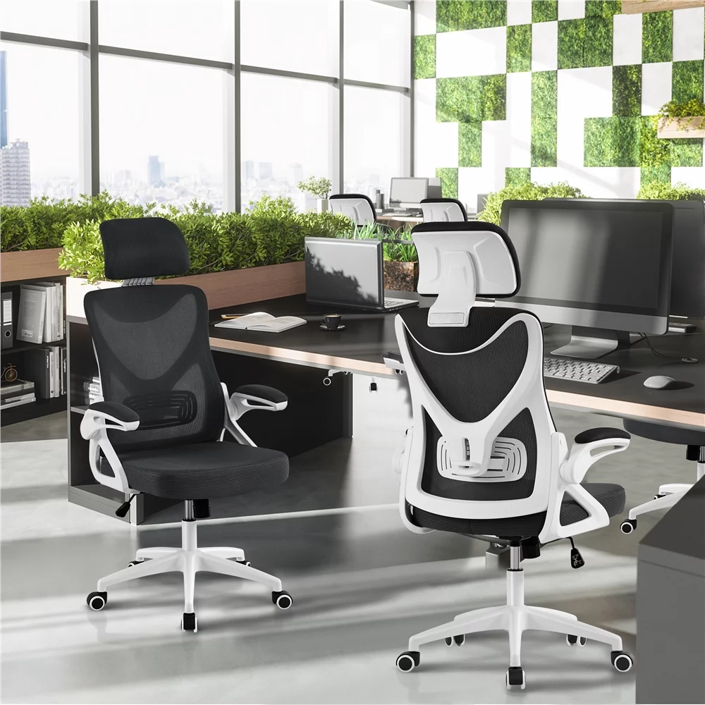 Alden Design Ergonomic Mesh Office Chair with High Back, Black