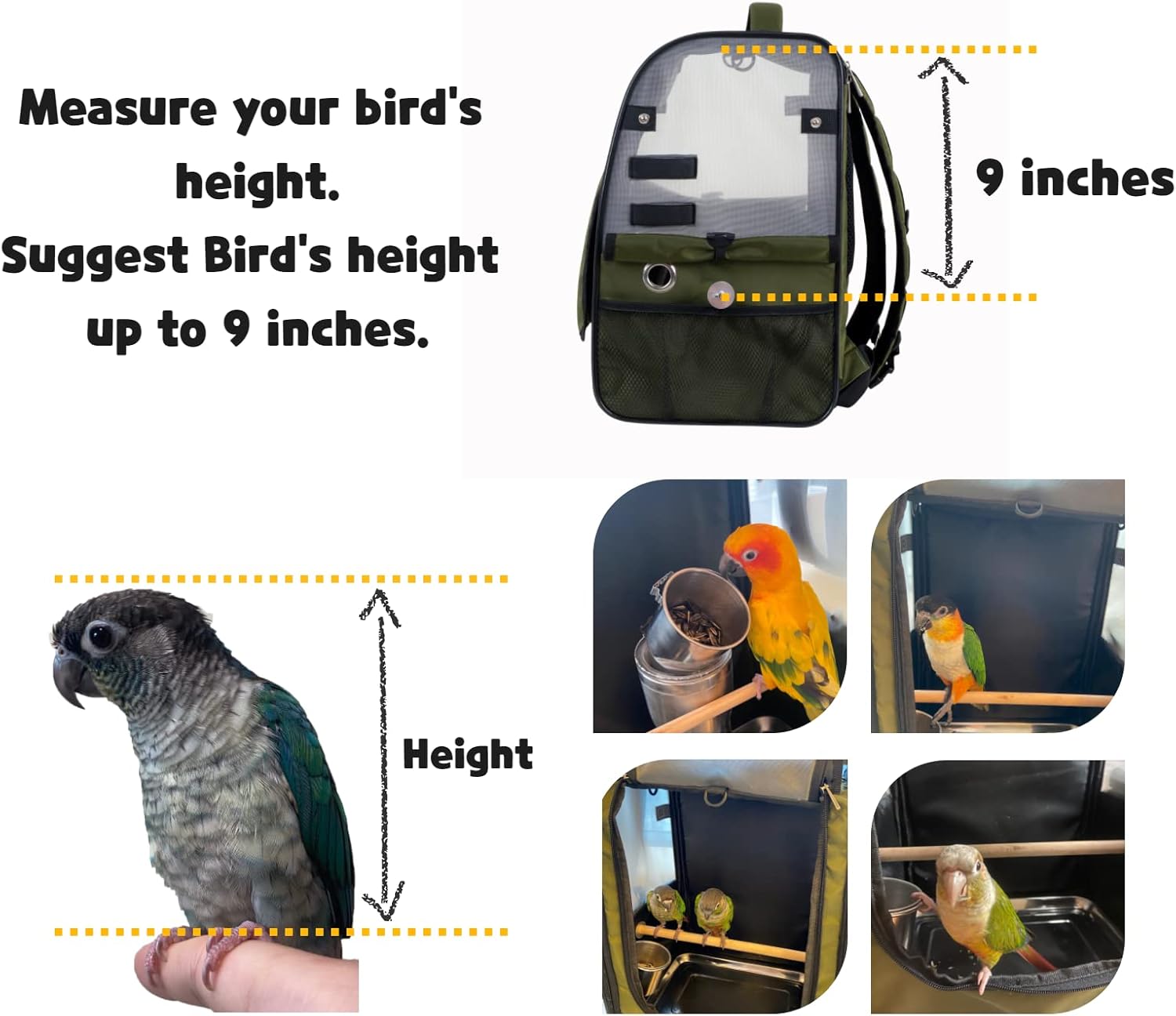 Birds Day Bird Carrier Backpack-Parrot Travel Cage with Perch and Feeding Cup, Stainless Steel Tray (Dark Olive Green)