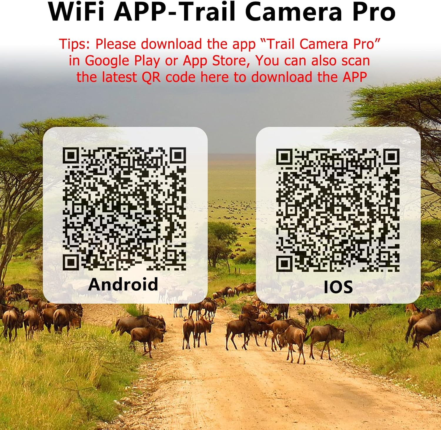 WiFi Trail Camera 1296P 20MP