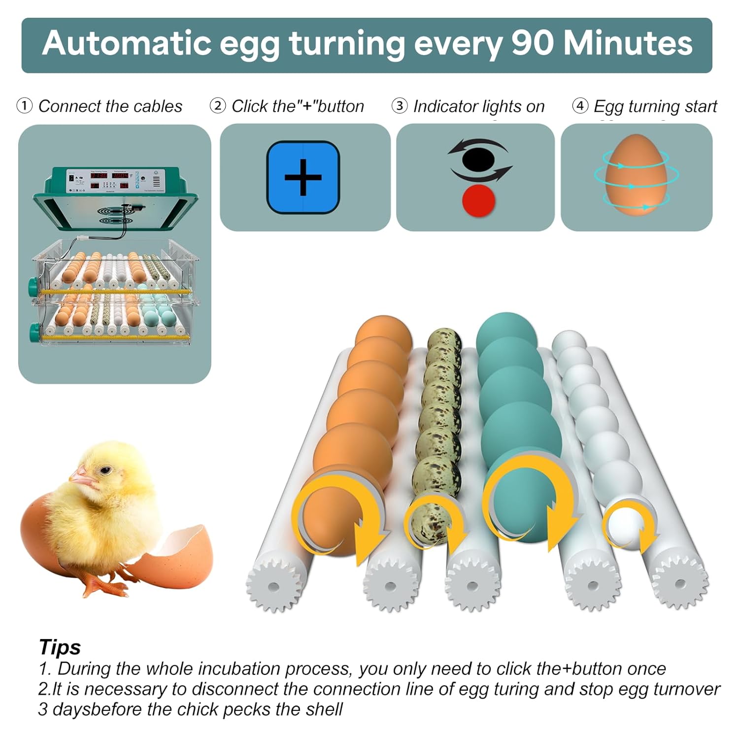 Egg Incubator, Egg Incubator with Automatic Egg Turning and Humidity Monitoring, Incubator for Chicken Eggs, 120 Eggs Incubator with Egg Candler
