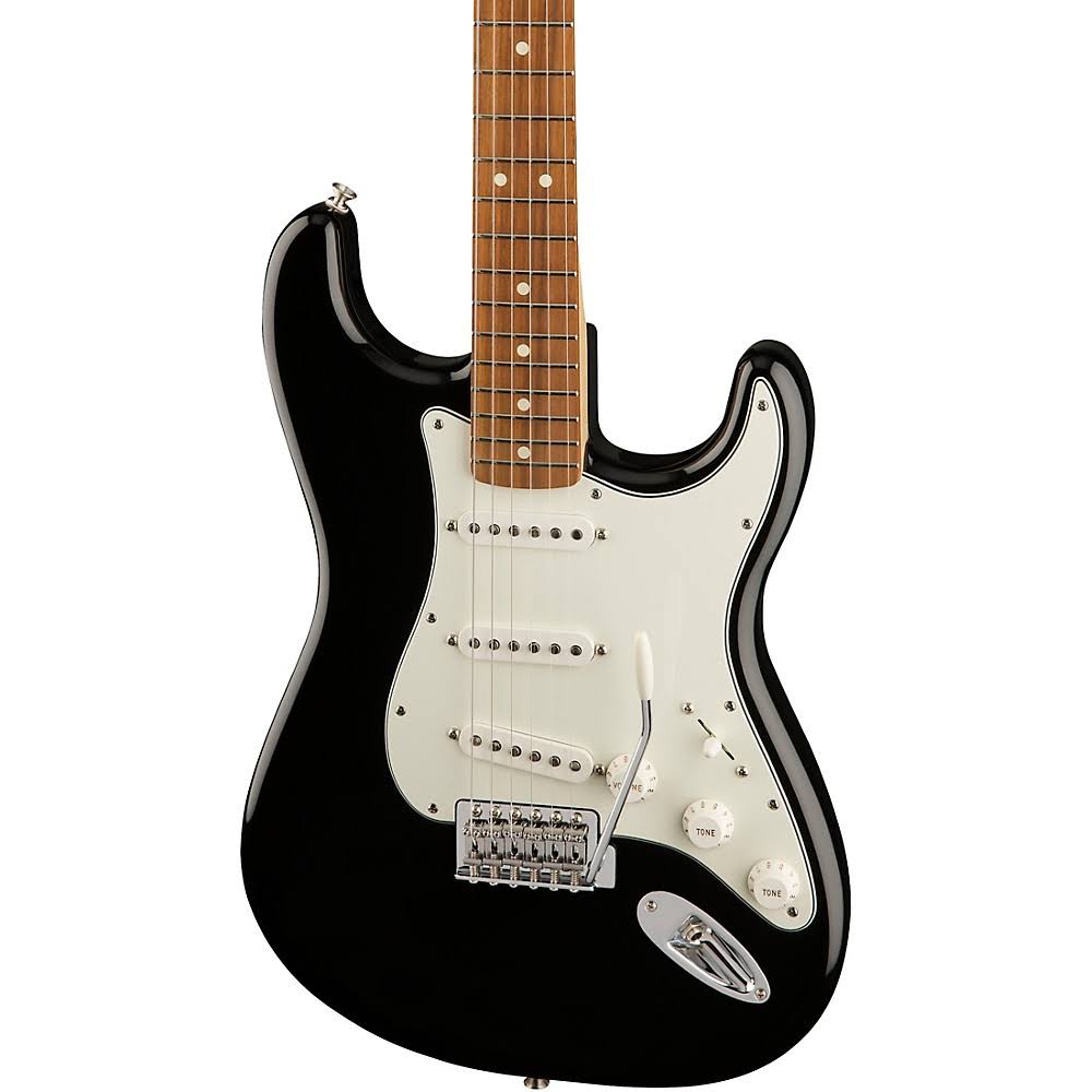 Fender Standard Stratocaster Pau Ferro Fingerboard Black