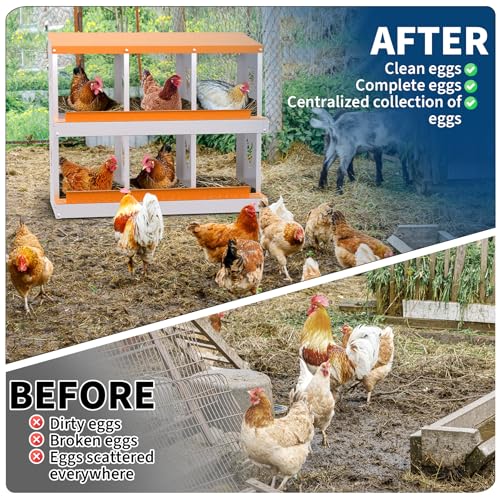 Garvee Chicken Nesting Box with Removable Tray, 8 Compartment Nesting Boxes for Chickens, Easy to Clean and Install
