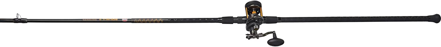 PENN 10' Squall II Star Drag Conventional Combo, Reel Size 15