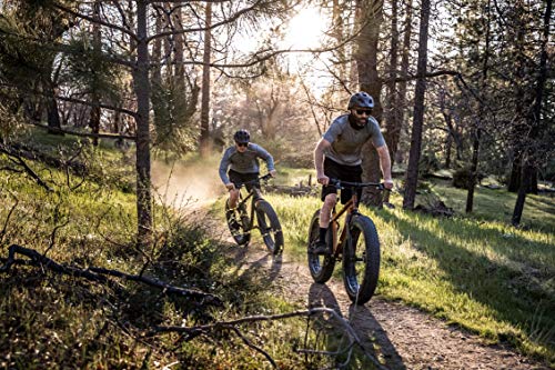 Mongoose Argus Trail or ST Fat Tire Mountain Bike, 20, 24 or 26 Inch Bike for Kids and Adults, 7 or 16 Speed, Aluminum or Steel Frame