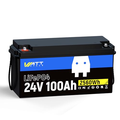 12V 314Ah Mini LiFePO4 Lithium Battery with Bluetooth 5.0, 200A BMS, 4.01kWh Energy, Upgraded Aluminum Cooling Fins & Braided Copper Wires, for RV