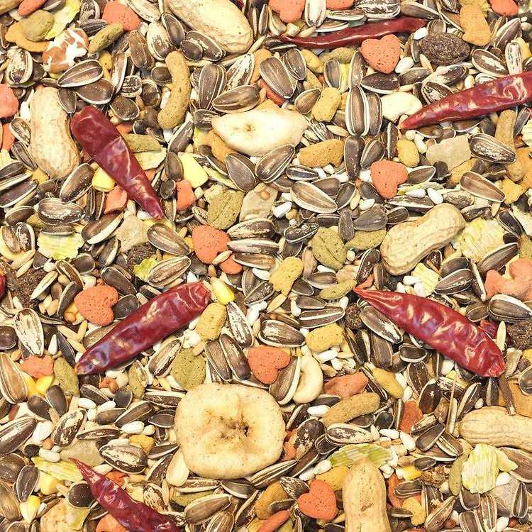 Higgins Vita Seed Parrot Food - Pet Supplies online store