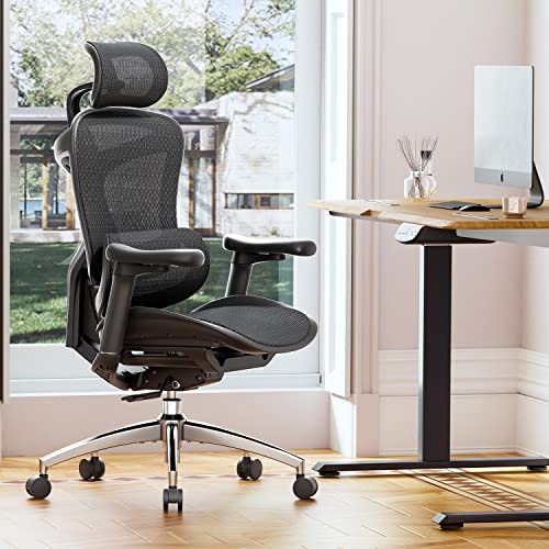 SIHOO Doro C300 Ergonomic Office Chair with Ultra Soft 3D Armrests, Dynamic Lumbar Support for Home Office Chair, Adjustable Backrest Desk Chair