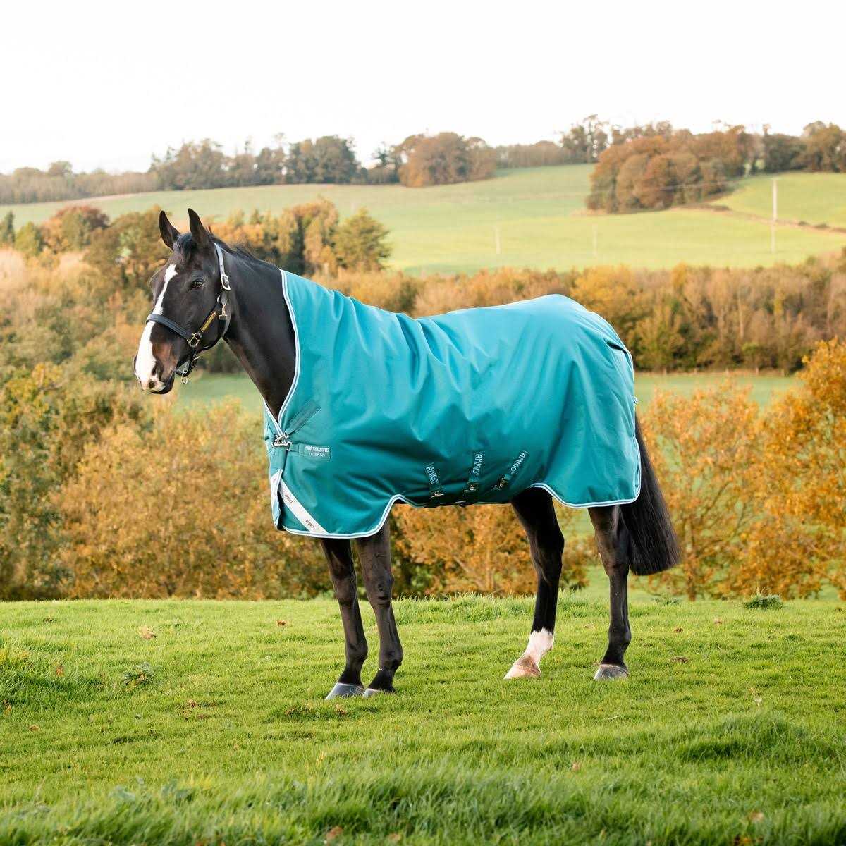 Amigo Bravo 12 Wug Turnout - Sports Supplies Online Store