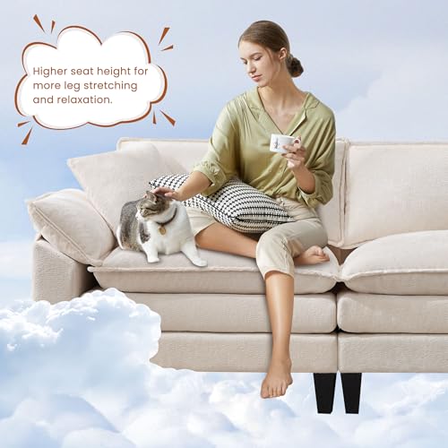 Loveseat Sofa for Living Room, 83" Cloud Loveseat Sofa, Chenille Fabric Sofa Couch with Double Cushion