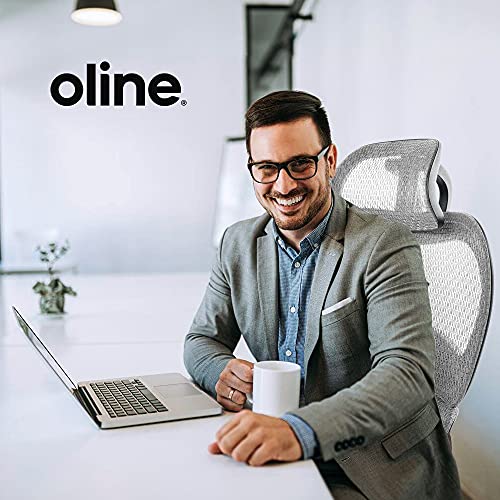 Oline ErgoPro Ergonomic Office Chair, Rolling Desk Chair with 4D Adjustable Armrest, 3D Lumbar Support, Blade Wheels
