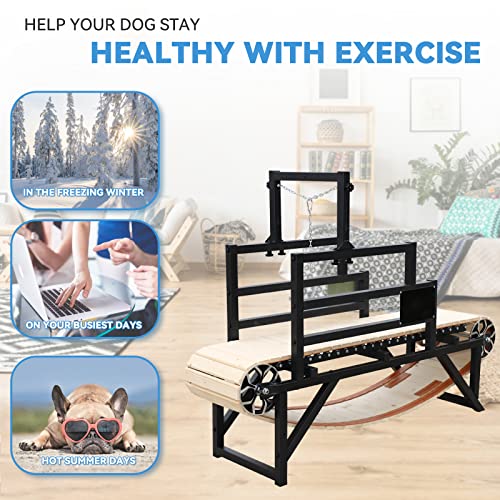 Dog Treadmill for Large/Medium Dogs, Dog Running Machine Exercise Equipment for Large Dogs