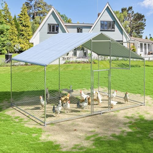 Polar Aurora Metal Chicken Coop, Large Outdoor Chicken Pen, Walk-in Chicken Run for 6-20 Chickens