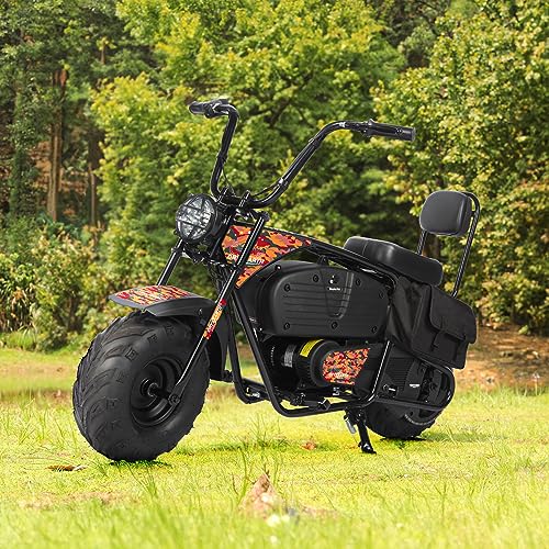 Oryxearth Electric Mini Dirt Bike, 36V Battery 1000W Motor Electrical Powered Motorcycle for Kids, 2 Speeds-15.5MPH/22 MPH, 2 Hanging Bags