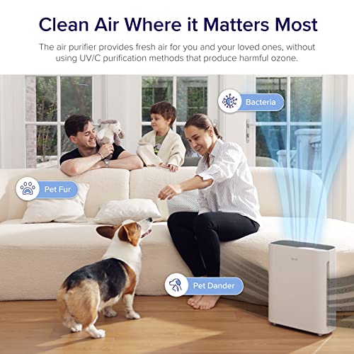 LEVOIT Air Purifiers for Home Large Room, H13 True HEPA Filter Cleaner with Washable Filter for Allergies, Smoke, Dust, Pollen