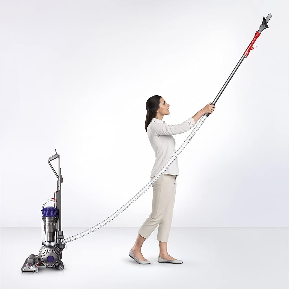 Dyson 216041-01 Ball Animal Upright Vacuum, Purple/Blue (Renewed)