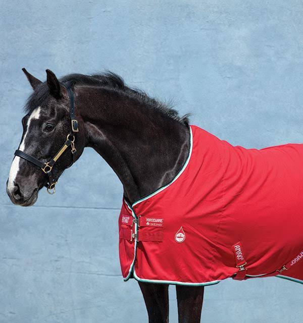 Amigo Stable Sheet - Excalibur/Orange