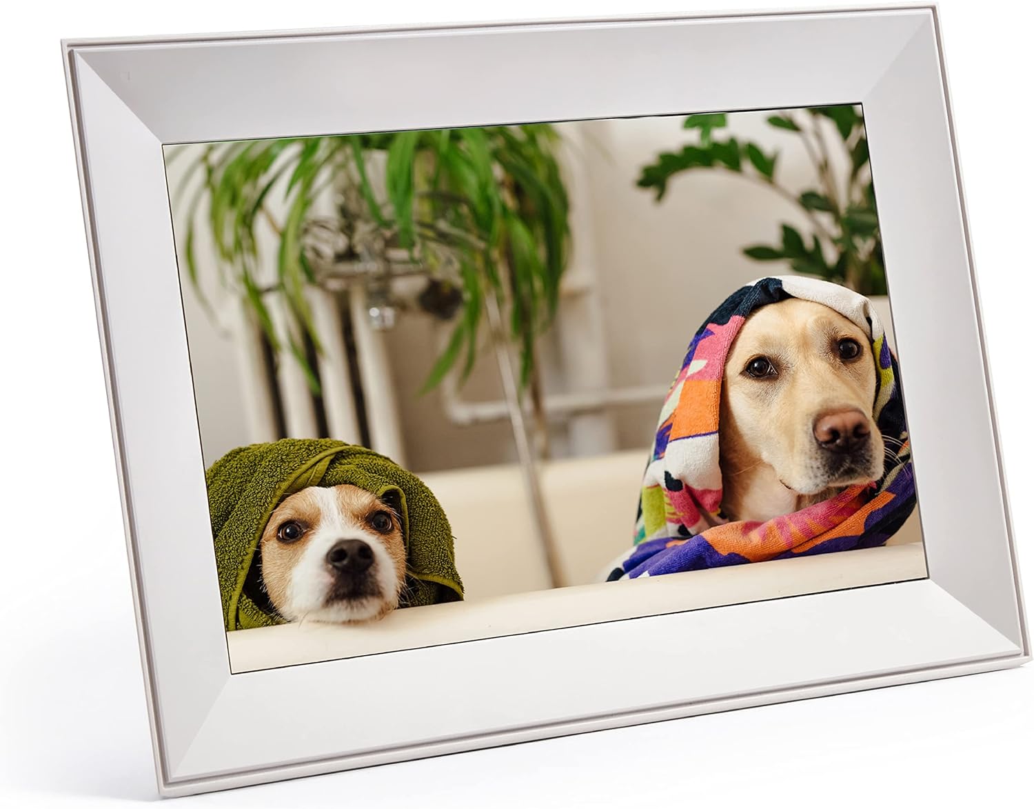 Aura Carver Smart Digital Picture Frame 10.1 Inch HD WiFi Cloud Digital Frame Free Unlimited Storage Easy Setup to Send Photos Remotely Via App More