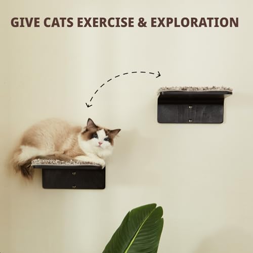 Cat Wall Shelf with Two Steps - Wave Cat Shelves and Perches for Wall - Wall Mounted Cats Furniture for Sleeping, Playing, Climbing, and Lounging